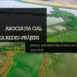 Stadiul implementării Strategiei de Dezvoltare Locală 2014-2020