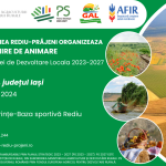 Întâlnire de animare în comuna REDIU