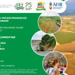 Întâlnire de animare în comuna VLĂDENI