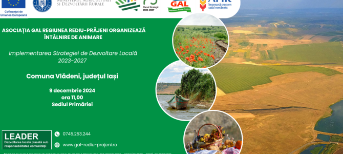 Întâlnire de animare în comuna VLĂDENI