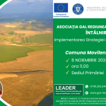 Întâlniri de animare - Românești și Movileni