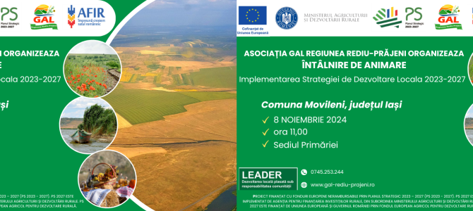 Întâlniri de animare – Românești și Movileni