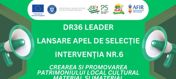 Lansare apel de selecție nr. 810/818/2/11/2026 – Intervenția nr. 6 – CONSERVAREA ȘI PROMOVAREA PATRIMONIULUI LOCAL CULTURAL MATERIAL ȘI IMATERIAL
